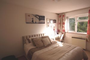 Photo 13- click for photo gallery